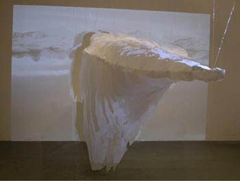 fathom front