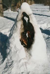 snow1