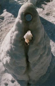 snow2