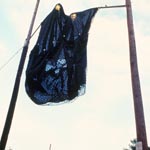 bag of night